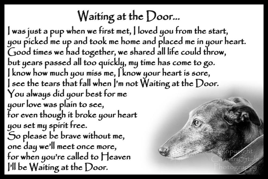 Lurcher Greyhound Whippet Pet Dog Memorial Fridge Magnet Plaque Pet Loss Sympathy Gift