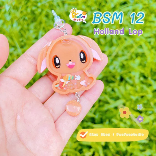 Bsm 12 Holland Lop Mold/Full Body Shaker + Cover Silicone