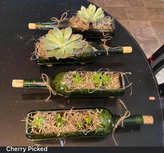 Bottle Planter | Serving Dish Centerpiece