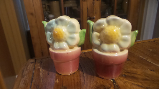 Vintage Shawnee Pottery Flowers in Pot Salt & Pepper Shaker Set