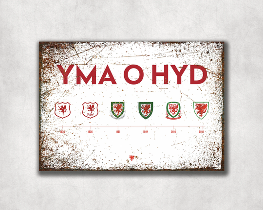 Yma O Hyd - Welsh Football Badge Throughout The Years | Aluminium Printed Metal Street Sign Gift Keepsake