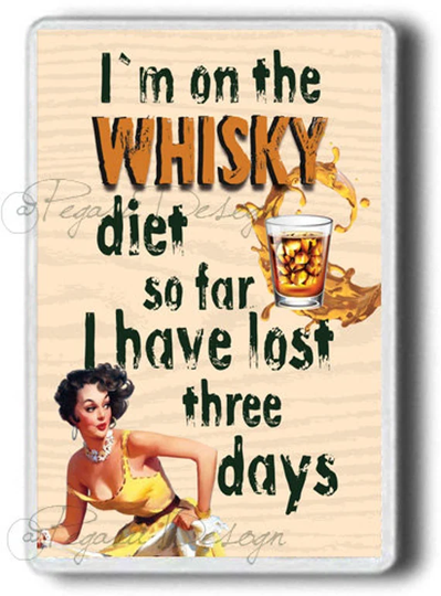 Funny Novelty Fridge Magnets, Vintage Alcohol Best Friend UK Seller Large Size Magnet
