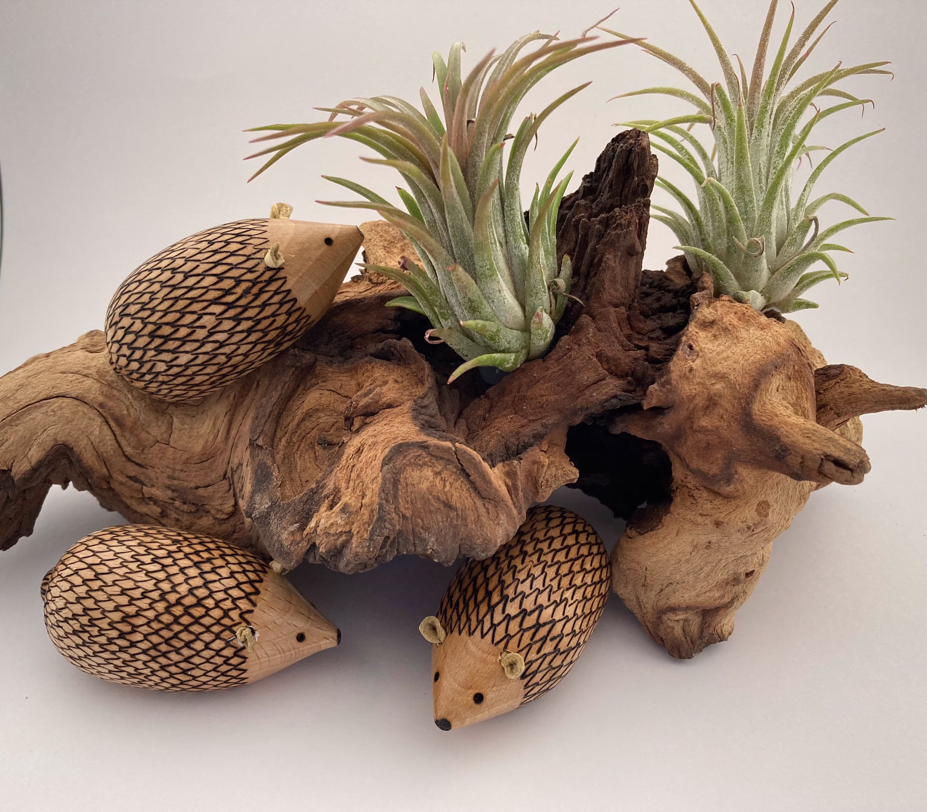 Wood Turned Hedgehogs, Fridge Magnets, Wooden Gifts